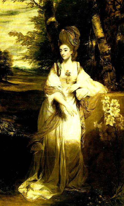 Sir Joshua Reynolds lady bampfylde